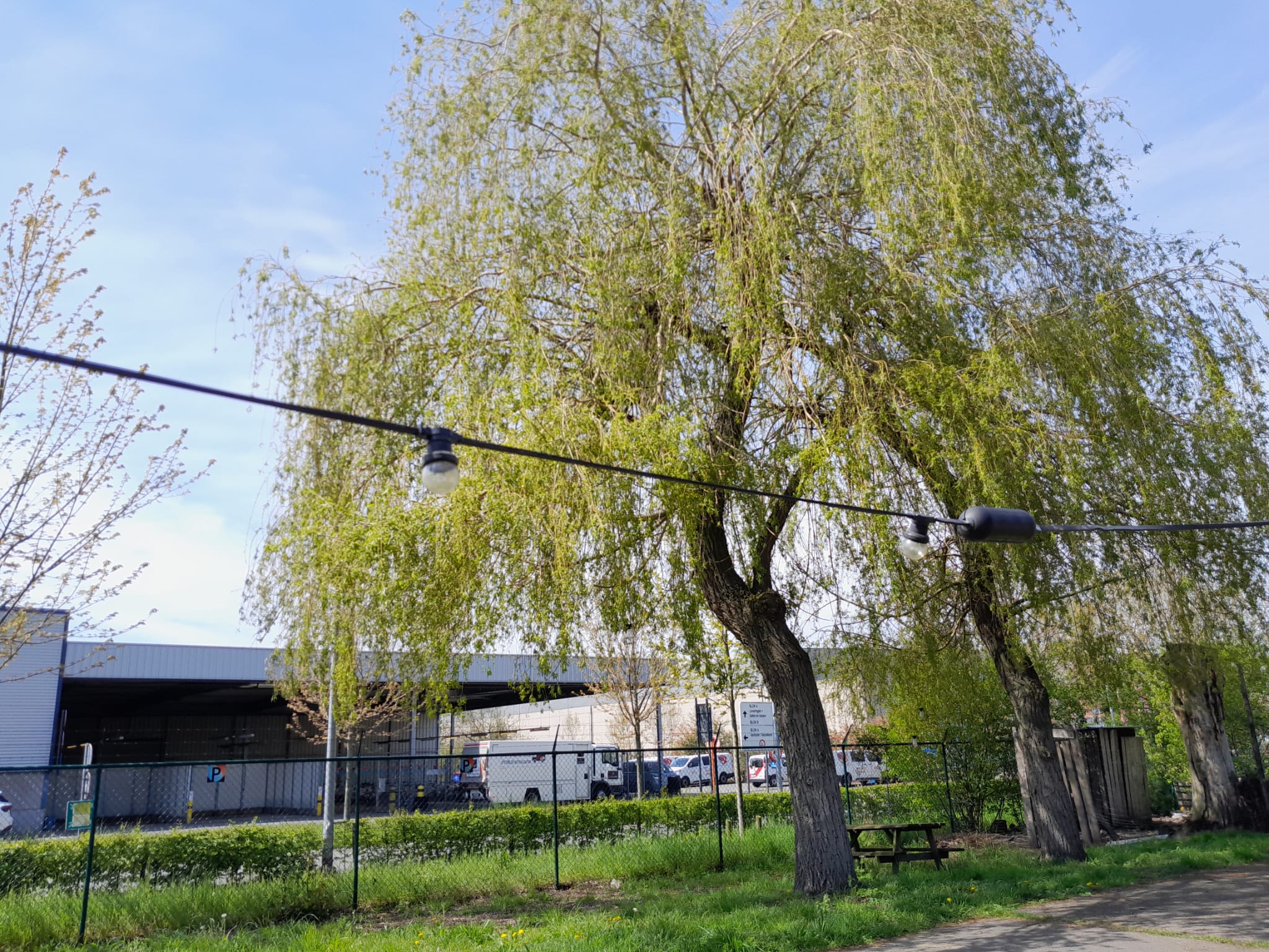 Zwarte behuizing doorlinken lichtslingers