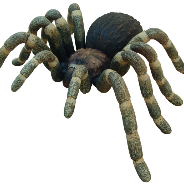 Tarantula XL