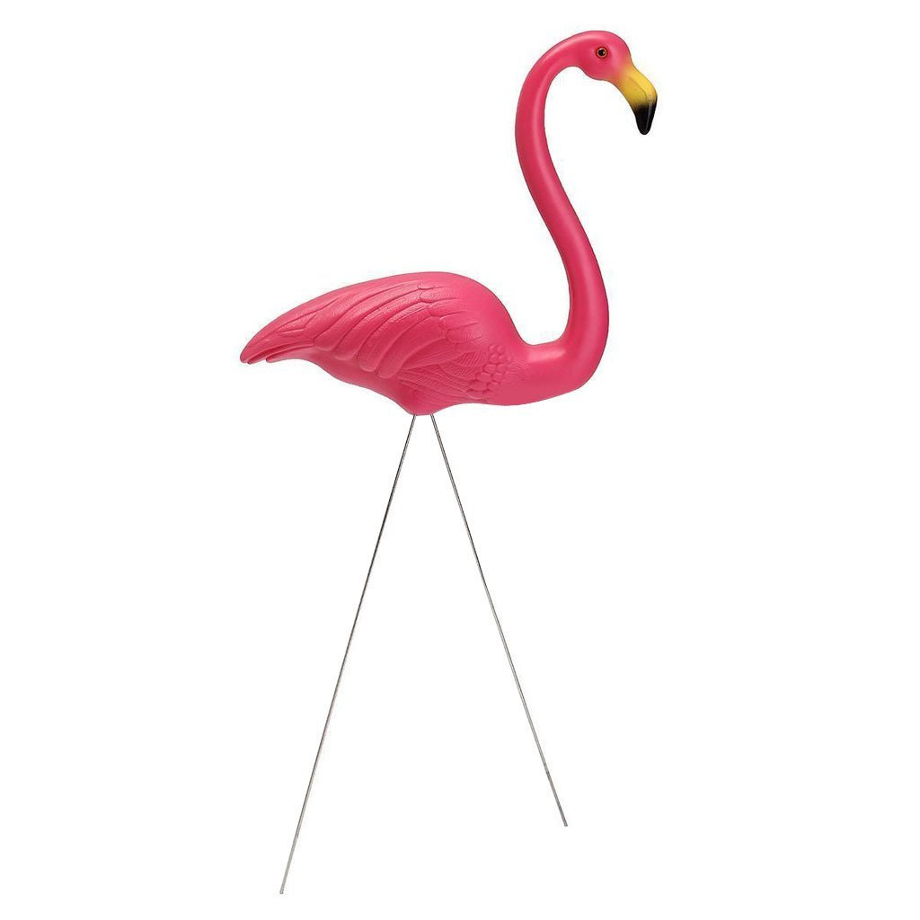 Flamingo op voet