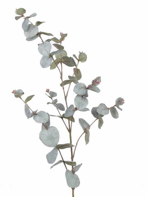 Eucalyptus bladtak hangend 122 cm