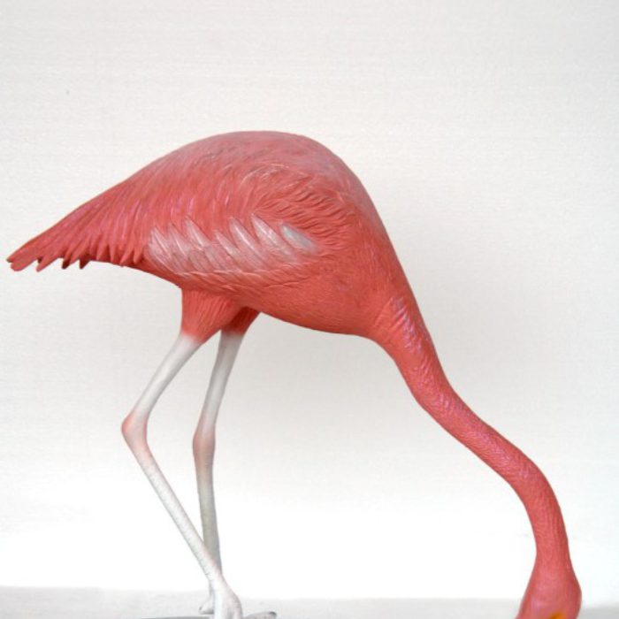 Flamingo Lifesize