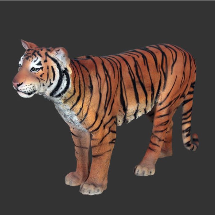 Tijger